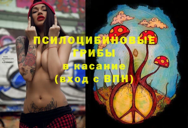бутират Алзамай
