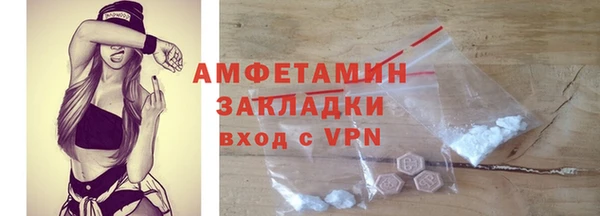 амф Дмитриев